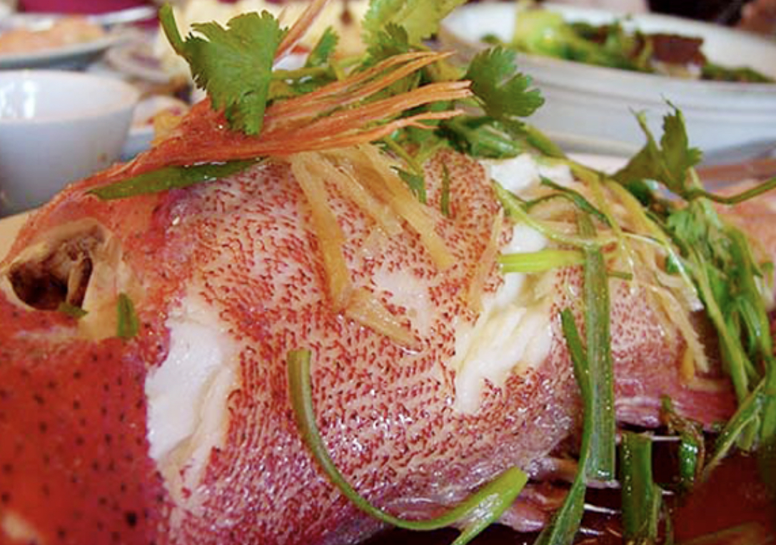 Cá Mú Đỏ