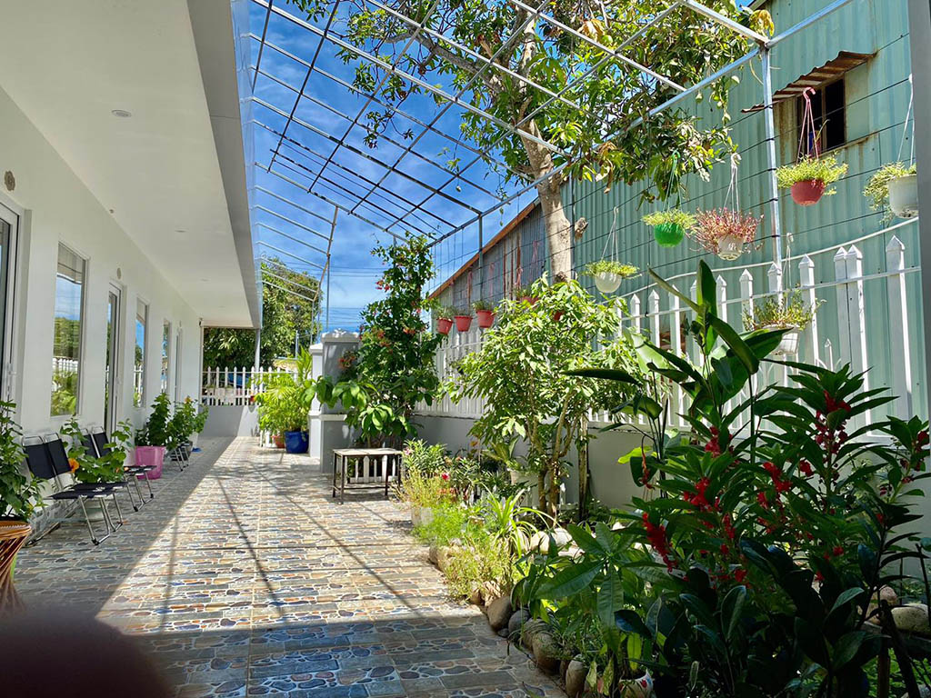 14+ Homestay Côn Đảo Đẹp, View Biển & Dịch Vụ Chất Lượng