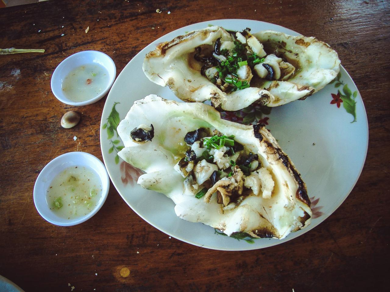 Ốc Tai Tượng