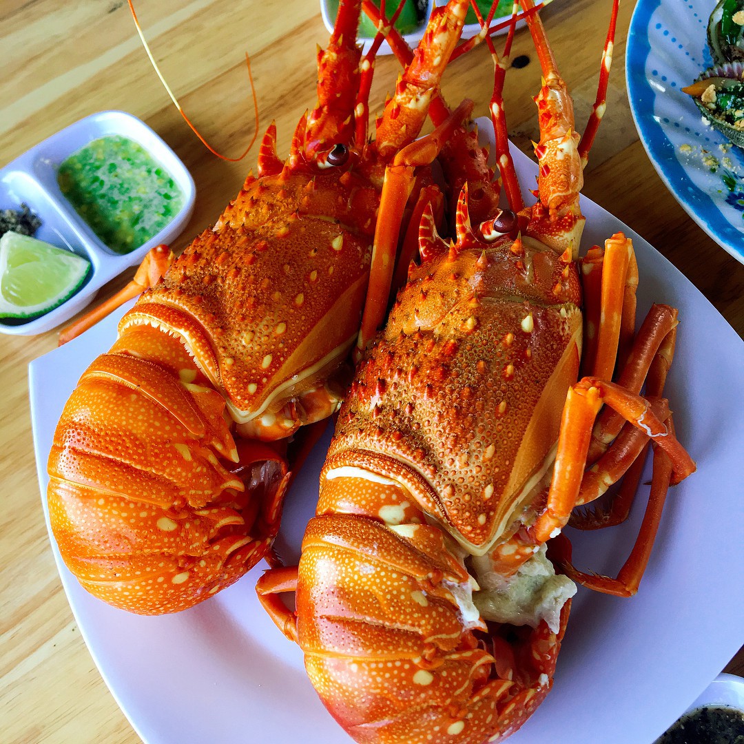 Tôm Hùm Đỏ