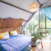 14+ Homestay Côn Đảo Đẹp, View Biển & Dịch Vụ Chất Lượng